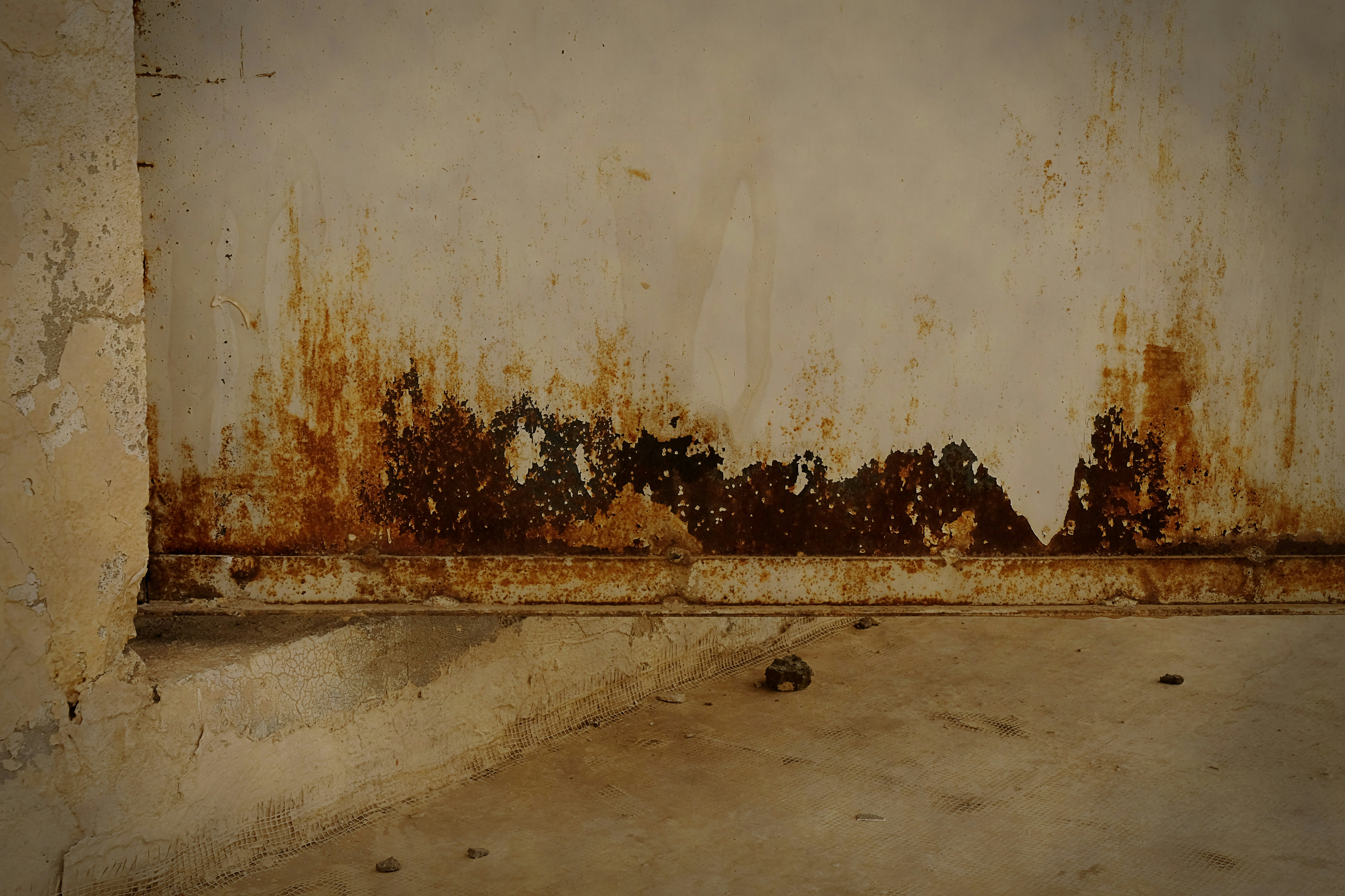 Mould removal process