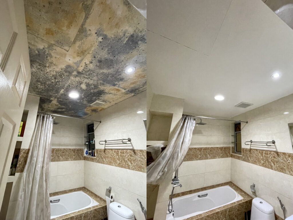 Bathroom mould removal Sydney